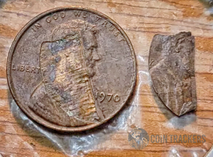 1970 Defective Planchet Error