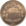 Shield Nickel