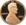 Lincoln Penny