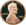 Lincoln Penny