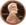 Lincoln Penny