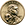 Sacagawea Dollar
