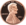 Lincoln Penny